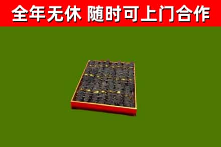 泸西县回收海参
